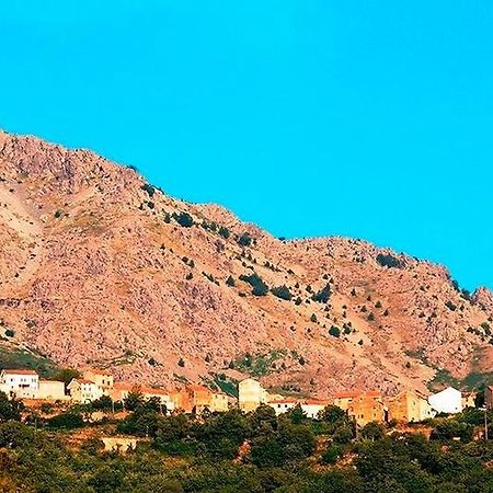 Auberge Casa Mathea Poggio-di-Venaco Экстерьер фото